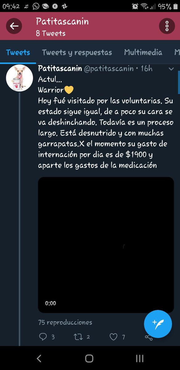 MicaLignac's tweet photo. No le donen nada a patitas canin! Están lucrando con un caso que no es suyo. Si puede denunciar lo agradecería @patitascanin https://t.co/b42tzCTBCb