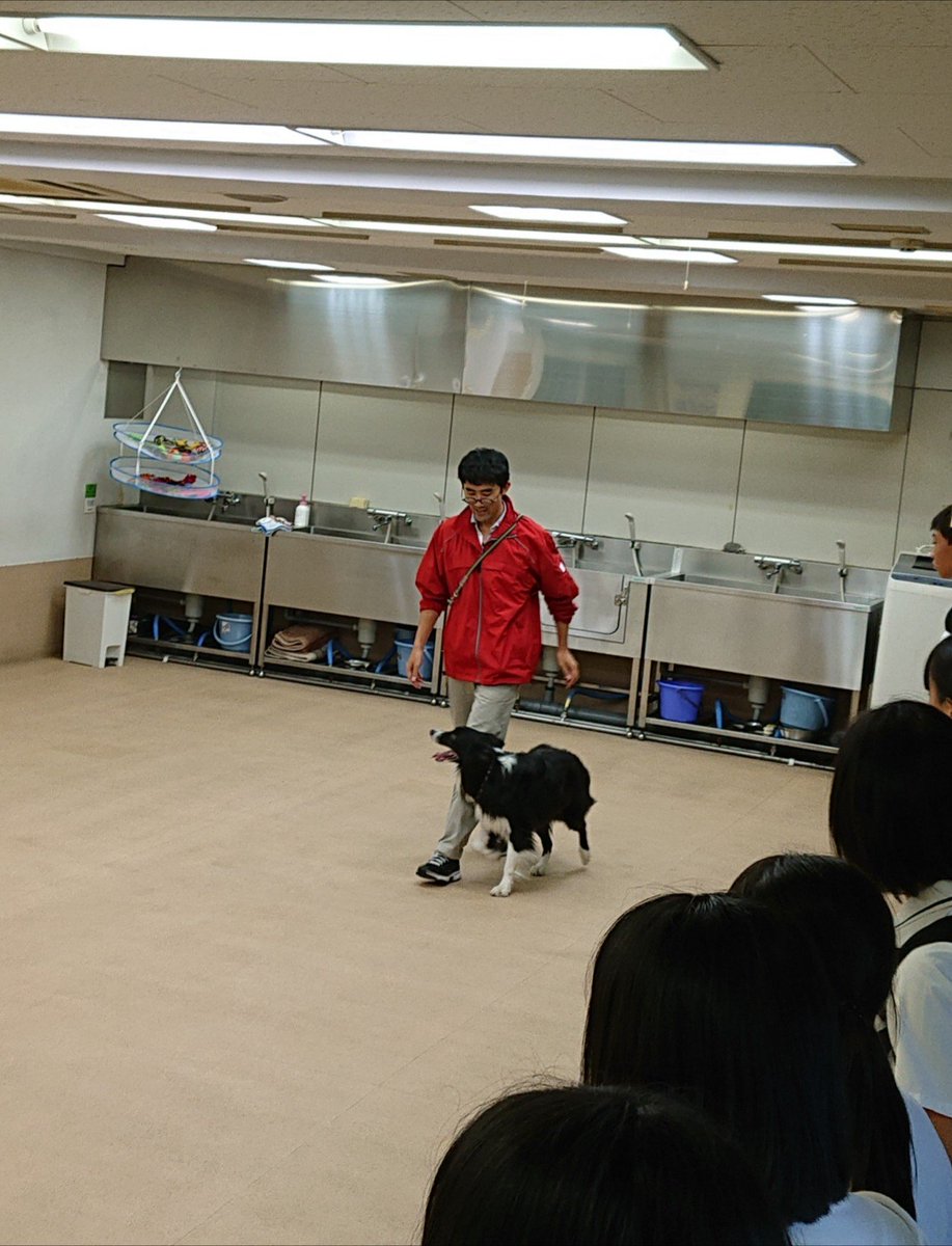 河原アイペットワールド専門学校 公式 今日は愛媛県立新居浜南高校の1年生たちが学校見学に来てくれました ドッグトレーナーの岡田先生のデモンストレーションに感動してくれたようです 河原学園の他の専門学校も見学したそうです 自分だけの進路を