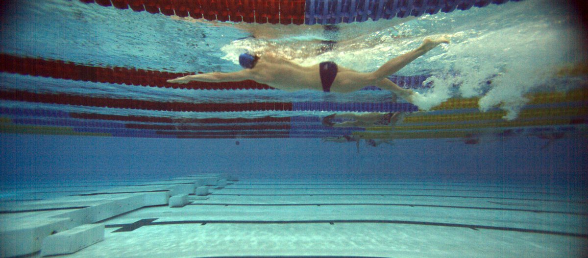 theFinckTank tweet media