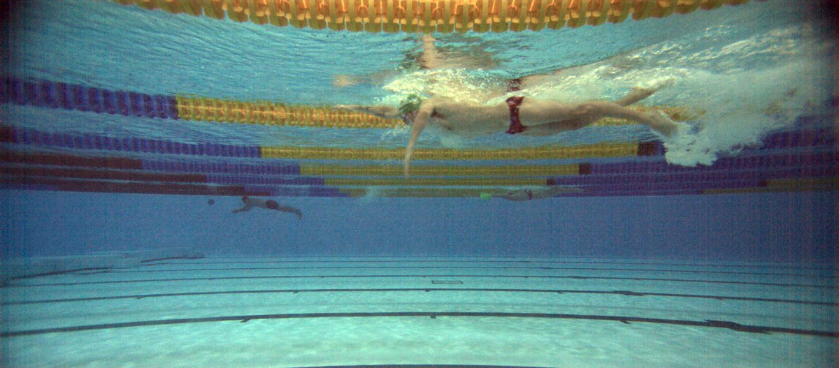 theFinckTank tweet media