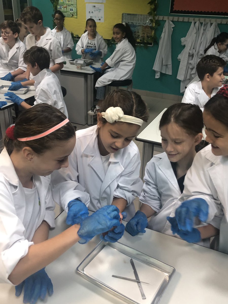 <a href="/DIA_Year6/">Year 6 | DIA Emirates Hills</a>  Year 6’s doing heart dissections for the Bodyology unit of inquiry.  #risktakers #diadream #inquirers <a href="/DIAdubai/">DIA | Emirates Hills</a>