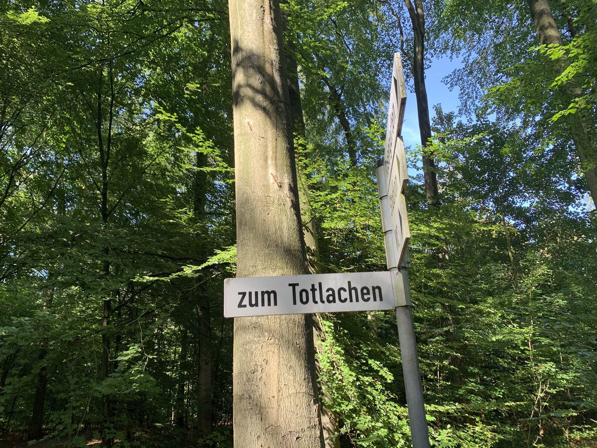 Caroline Grazé tweet media