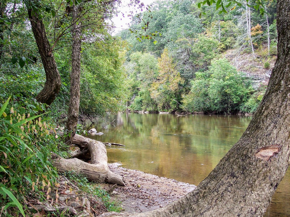 BlueRidgePeace's tweet photo. I walked the 1 1/2 mile loop around the River Bluffs Trail yesterday.   So much to see🌲🍁🌿
#hangingrockstatepark #DanRiver #stokescountync https://t.co/ber2TtQrjq