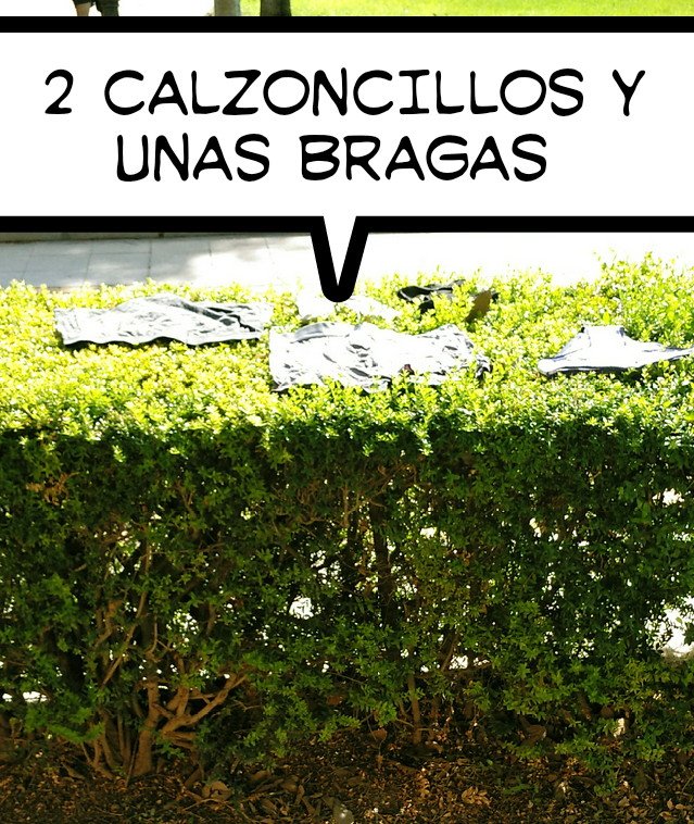 SevillanosYa's tweet photo. INCIVICOS que USAN a DIARIO la ⛲ del #ParquePerdigones para HACER COLADA.

SECAN su ROPA INTERIOR en los setos junto al parque infantil. 
@JuanEspadasSVQ
 
@JuanC__Cabrera
 
@aspo_sevilla

#SevillaCivica #DerechosMenoresMacarena #ReubicacionYA #PlanIntegralMacarenaYA https://t.co/NfXOspTFuL
