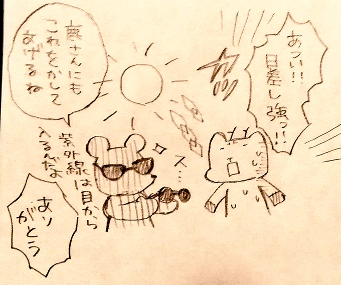 ディアベア4コマ　サングラス 