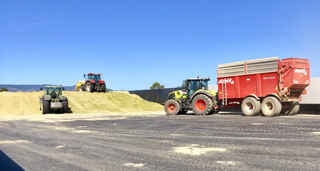 Travaux d’ensilage en cours 👍🏼 un beau défilé de @MichelinAgriFR