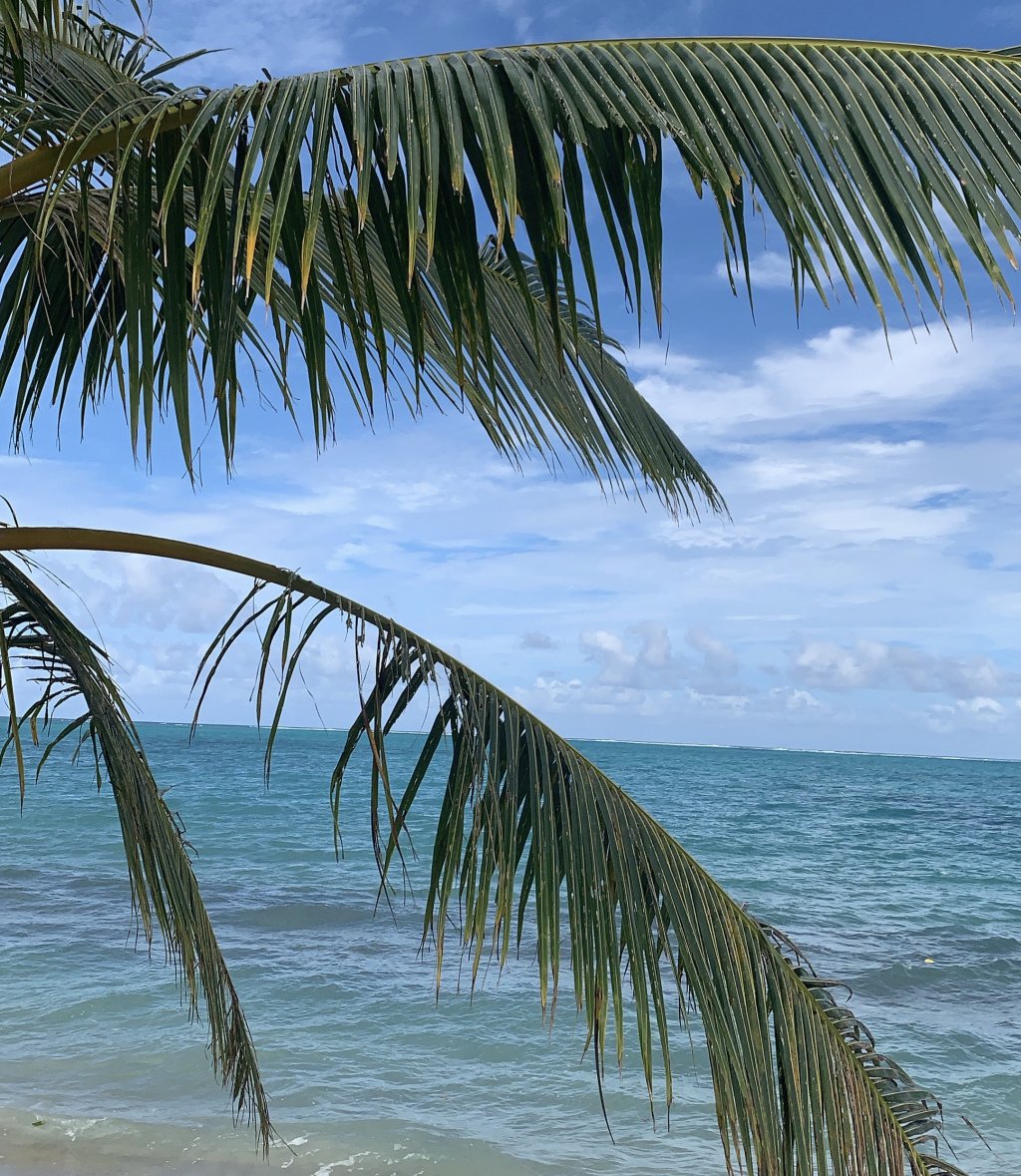 TYDAF_Blog's tweet image. Release assortedlifenotes.com/2019/09/19/rel…