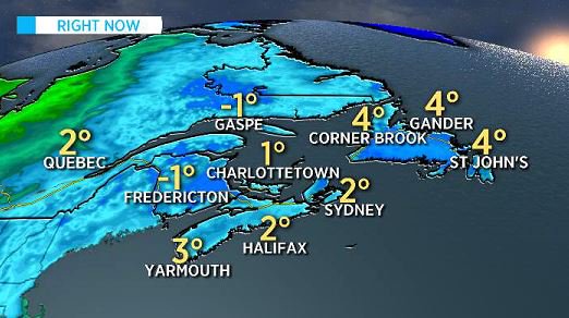 Kelsey McEwen tweet media