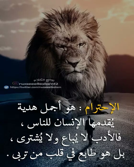 . (@samaa204) on Twitter photo 