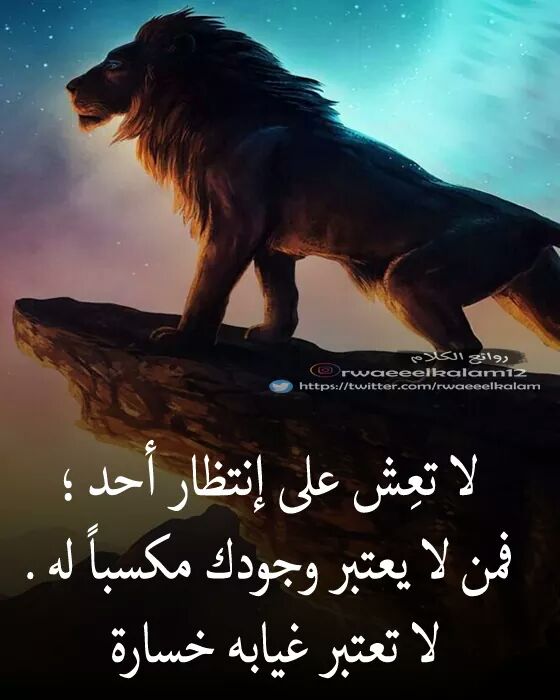 . (@samaa204) on Twitter photo 