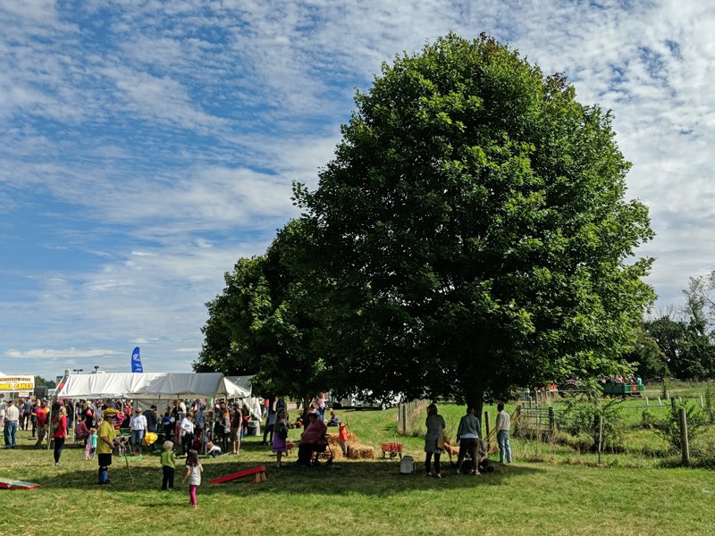 Apple fest is at Aullwood Audubon this weekend!!! Lots of delicious food, make sure you bring your....appletite! 🍎 😉