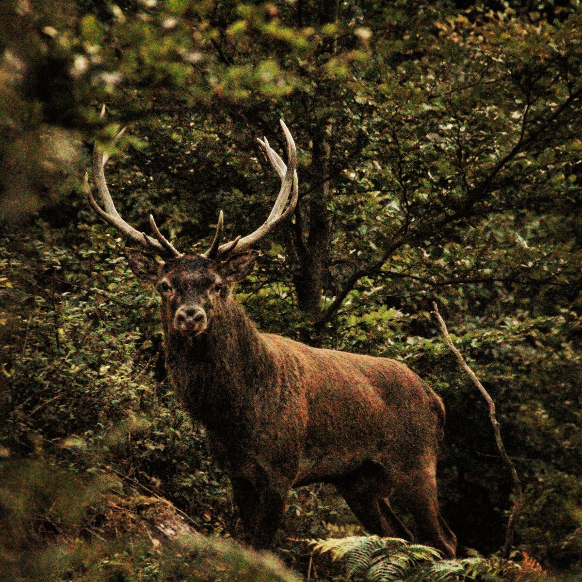 Valentin bruel tweet media