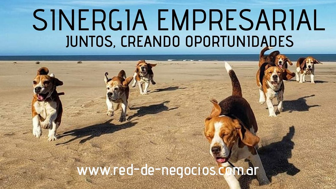 Reddenegocios_'s tweet photo. Cuando trabajamos en equipo ampliamos el horizonte que veríamos estando solos...

Intégrate a Red de Negocios!
Ampliamos tus oportunidades empresariales en todo sentido!
 #sinergiaempresarial equipos: #virtual #presencial
https://t.co/FdEUfzXJ55 https://t.co/WcT7iDvPpA