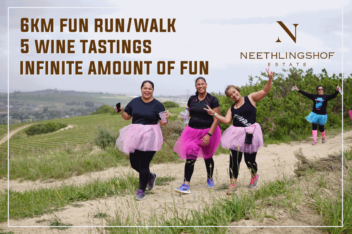 runventures's tweet photo. Come join us at Neethlingshof Wine Estate for the Pinotage Fun Run. Dress up, bring friends and enjoy the day with us. 
https://t.co/ffmAsHO19W
#runventures #pinotagerun https://t.co/FlRpDPxTBc