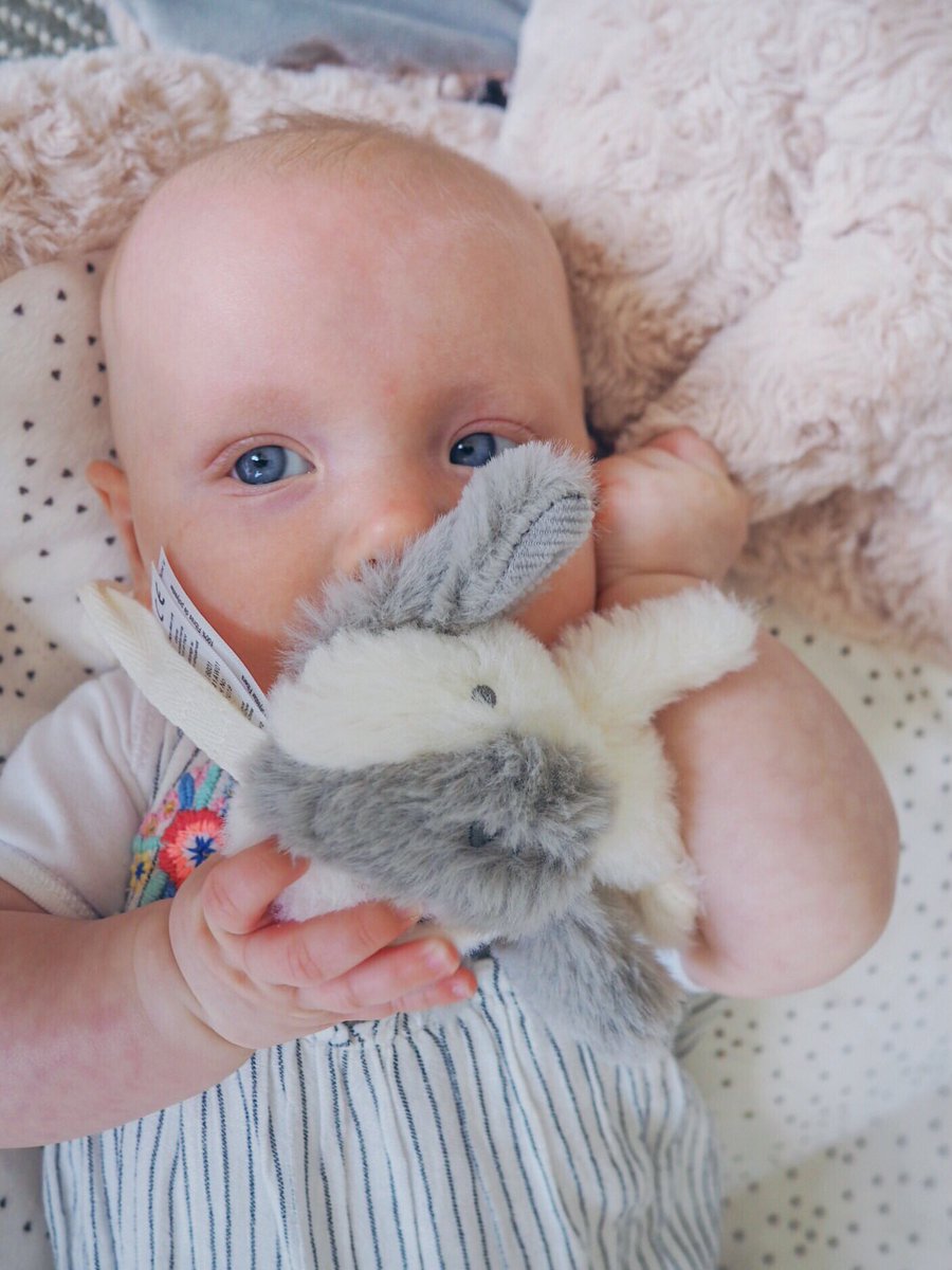 hannahswancott's tweet photo. We’ve made it to Cornwall, it’s Arlas first UK adventure! It’s so beautiful here! 💗

Check availability: https://t.co/30hpkgeyZC

Full review: https://t.co/NXf3WfBvju https://t.co/kQi6IZLSSp