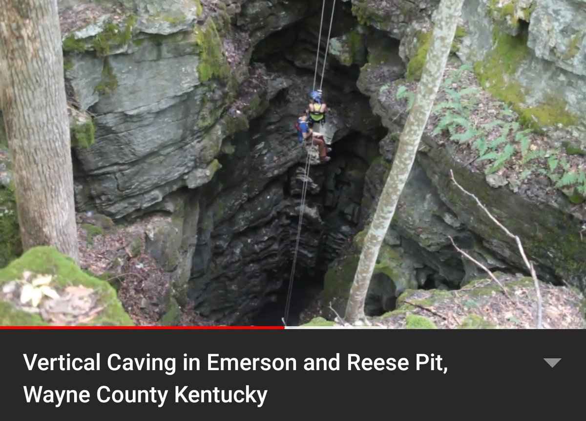 UntamedScience's tweet photo. Anyone else a cave buff? Just spent some time chatting with @Caver59 from Kentucky and have been amazed at what you can do locally if you dedicate yourself to conservation and education! We need more people like you out there Ken! https://t.co/dcXJ84ukJz