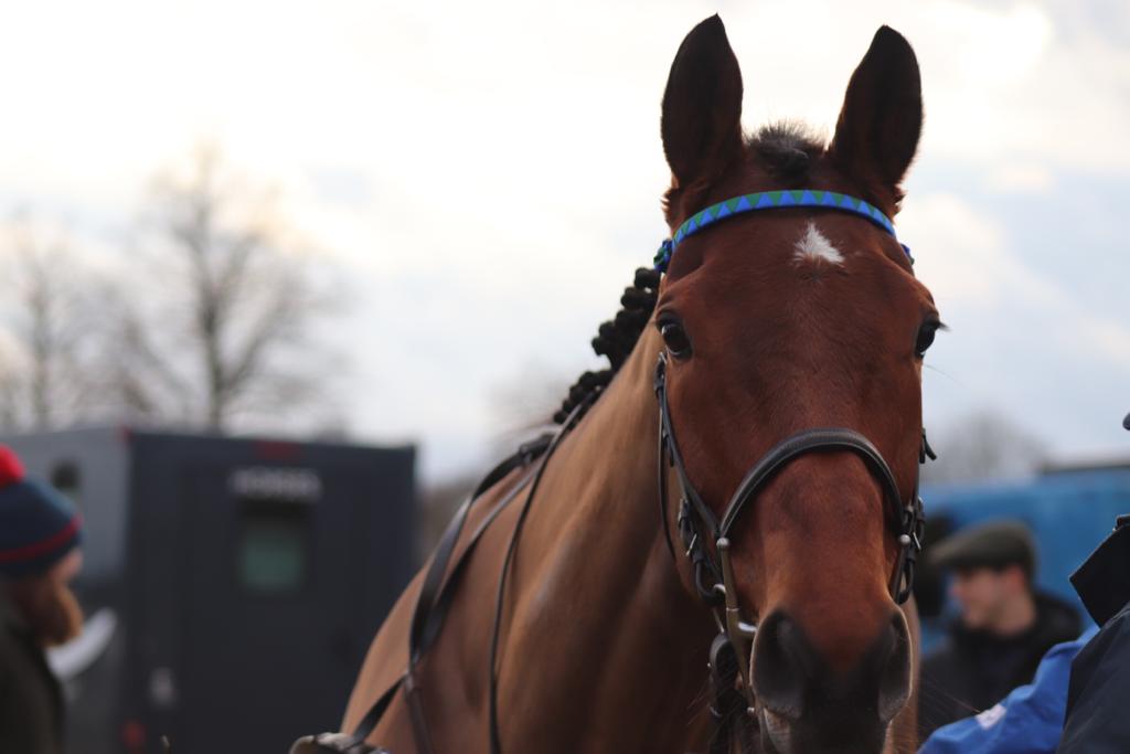 James Owen Racing tweet media