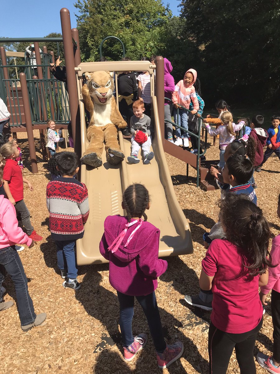 SeachPrincipal's tweet photo. Celebrating first grade birthdays with the wildcat! #weymouthpride #seachroars #wildcat https://t.co/ZJgnVg74s5