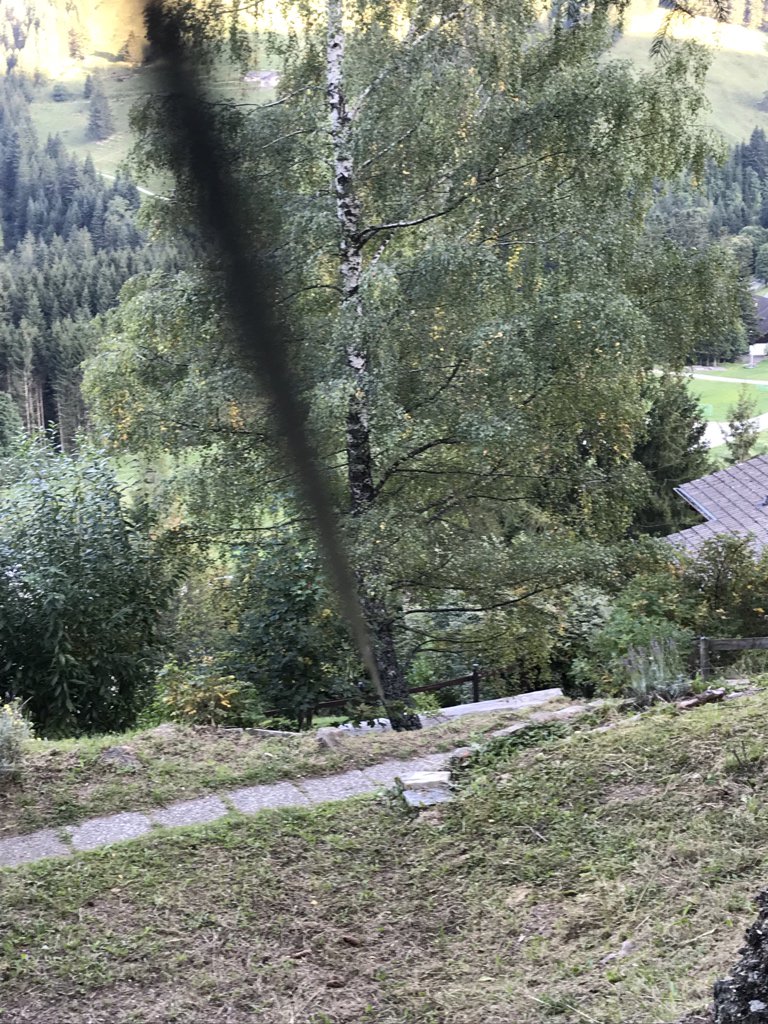 erikdewildt's tweet photo. Doing some portable FT8 from the Chalet. EFHW Antenne between some trees… #hamradio https://t.co/9y4tus1o0i