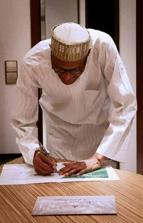 LamiKaumi's tweet photo. Nigeria has overtaken Egypt as Africa's largest producer of rice. Bad news for wailers. Thank you, President Buhari!@MBuhari https://t.co/fnGzO3SIBR