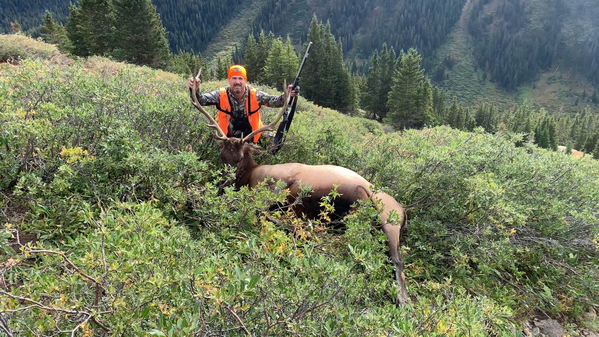 burnside4141's tweet photo. I got 5x4 bull elk Monday morning in CO Collegiate Peaks Wilderness at 12,000'. 3rd day of hunt, bugled &amp; cow talked w/him; he left cows feeding above me on slope &amp; came looking for a fight. Shot w/muzzleloader at 45 yards. #EHGTribe #EHGElite #alwaysoutside #elkhunting #hunting https://t.co/ItHzMEwf2S