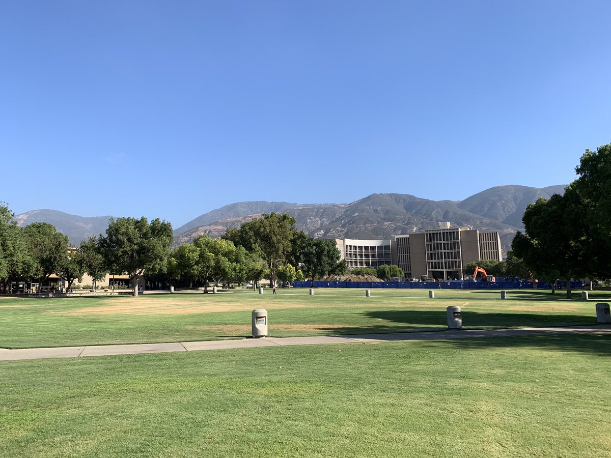 Oraib_Mango's tweet photo. Beautiful #csusb1stday, happy day, Yotes! #csusb https://t.co/cVuf89fF1P