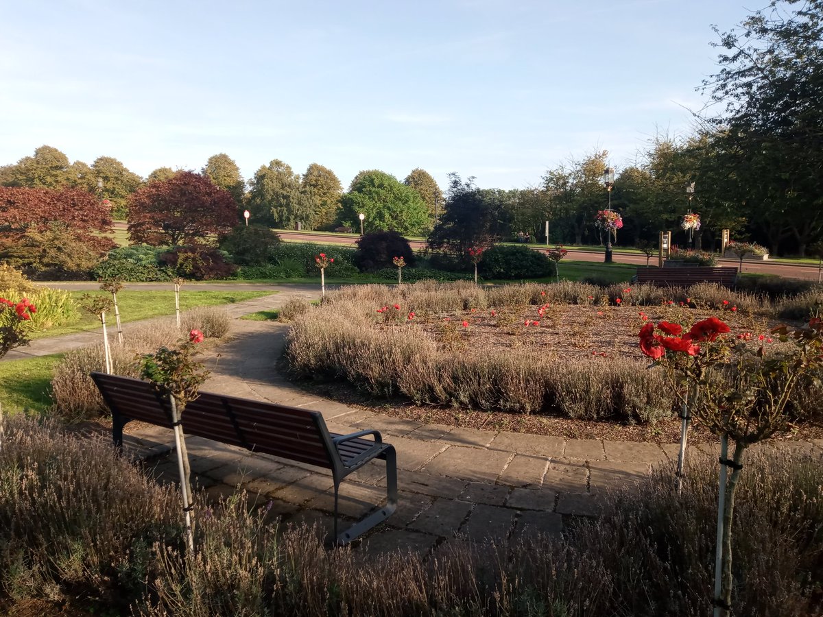 baldypidge's tweet photo. Hey Benchy (hope that's not too informal @MyFaveBench) it's #BenchFest in the Stormont Estate this evening. https://t.co/CDiqC8QUjW