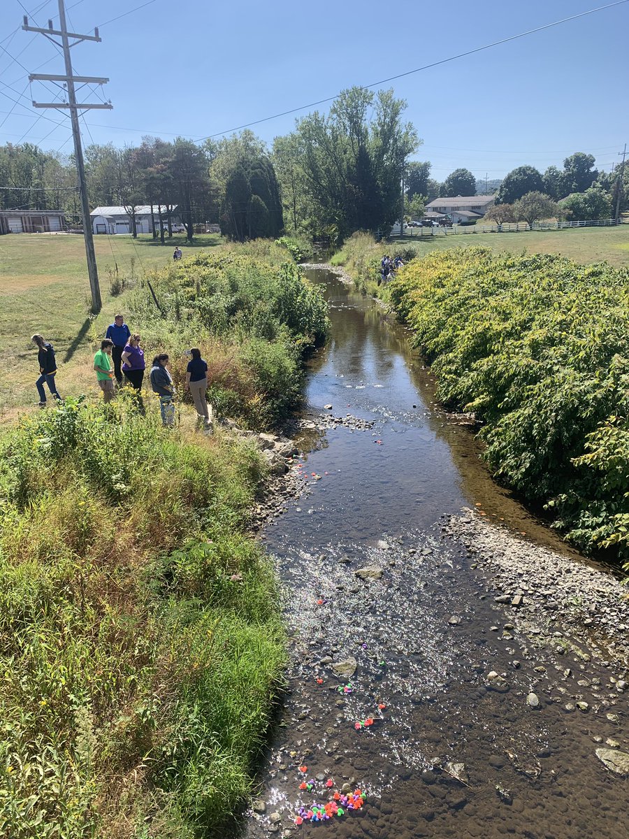 A beautiful day on campus today to watch a duck race! 🦆