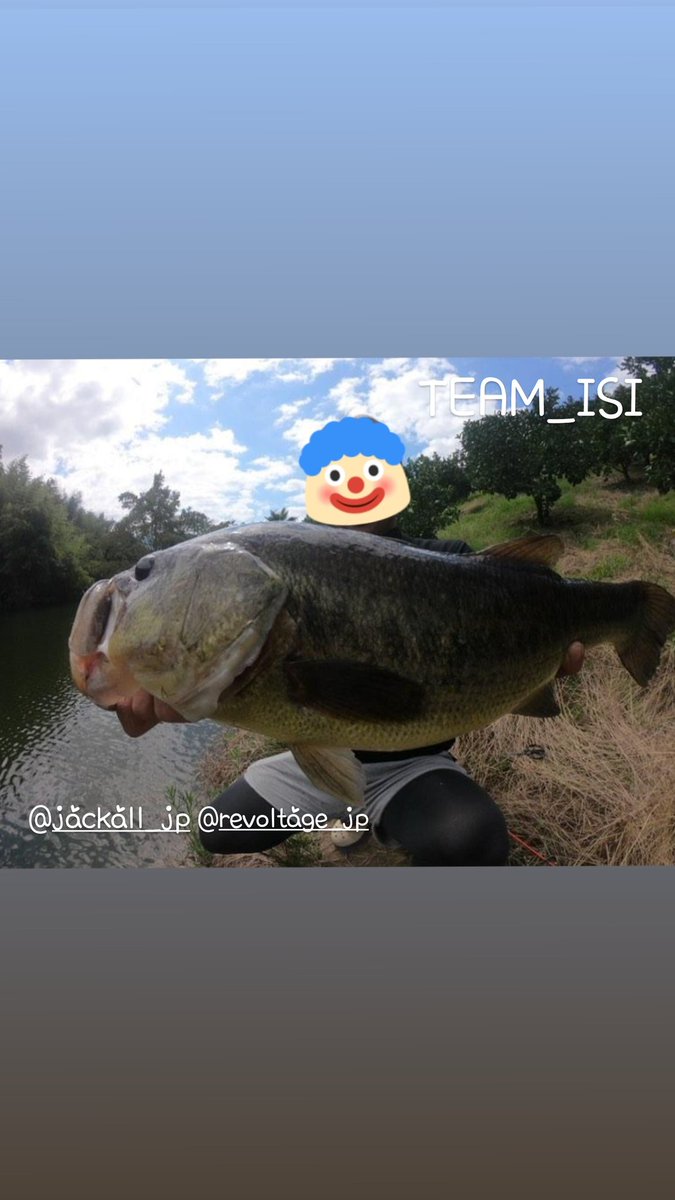 TEAMISIDOWSER's tweet photo. 53cm

#TEAM_ISI
#JACKALL
#Revoltage
#50up https://t.co/ZN6wAY97NB