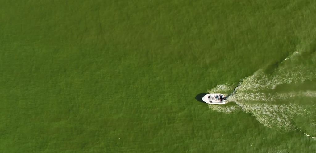 Algal blooms and water quality issues face many communities. It’s why our foundation is the presenting sponsor of the George Barley Water Prize. Experts from around the world are solving the algal-bloom crisis.
<a href="/BarleyPrize/">Barley Prize</a> <a href="/evergfoundation/">The Everglades Foundation</a> <a href="/RAEstuaries/">Restore America's Estuaries (RAE)</a> 
scottsmiraclegro.com/responsibility…