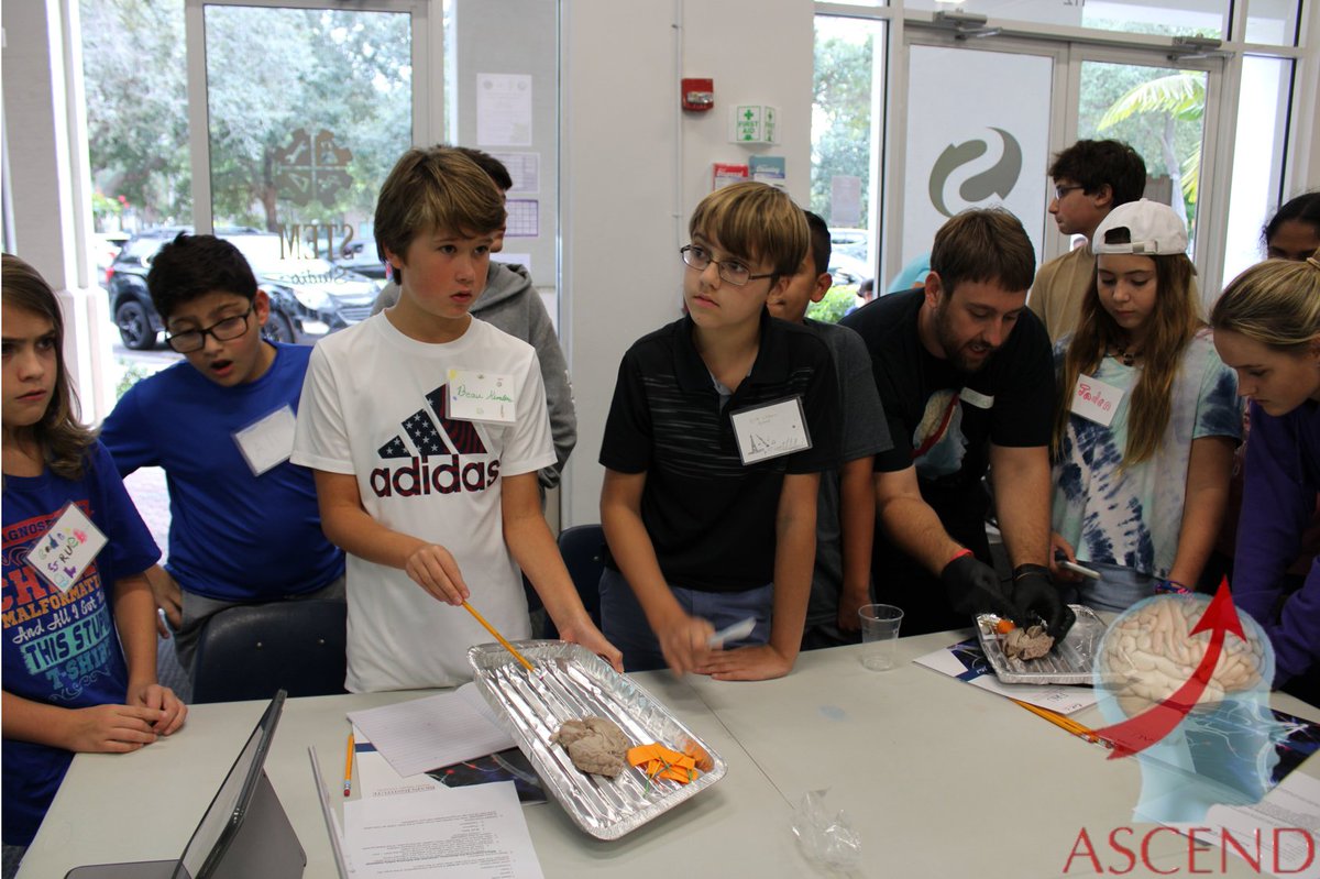 ascendneuro's tweet photo. First #NeuroExplorer session was held last Friday STEM Studio!
Check out the awesome #dissection party we had with cow brains, sheep brains, mouse brains and cow eyes! Learning all about nervous system anatomy!
#ASCENDneuro #Brainbite #SciComm #STEM https://t.co/mnvTohdvrh