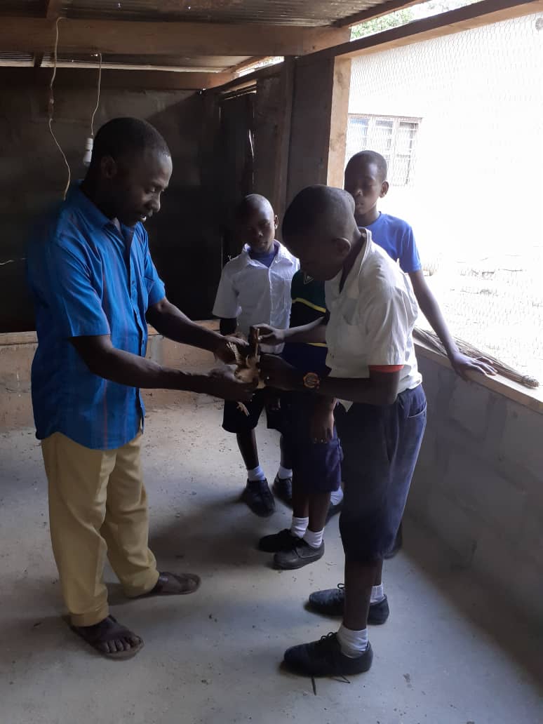 Kids get stuck in giving the vaccinations at Mtamba primary school