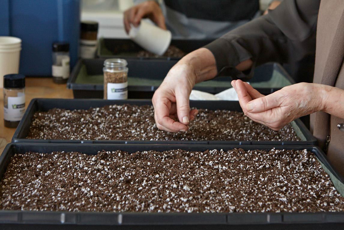 urbancultivator's tweet photo. The connection between planting and mental health is a strong one. Here’s how it can help you improve your mood: https://t.co/JiYsB7pv7T https://t.co/7tHYaMtuiL