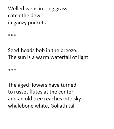 theVogelman's tweet photo. Today we took a five-minute field trip out to a patch of field by our school to gather imagery in our notebooks.  I wrote a poem in five parts, one for each class period, with the favorite images I collected. https://t.co/H6g5swvSuv