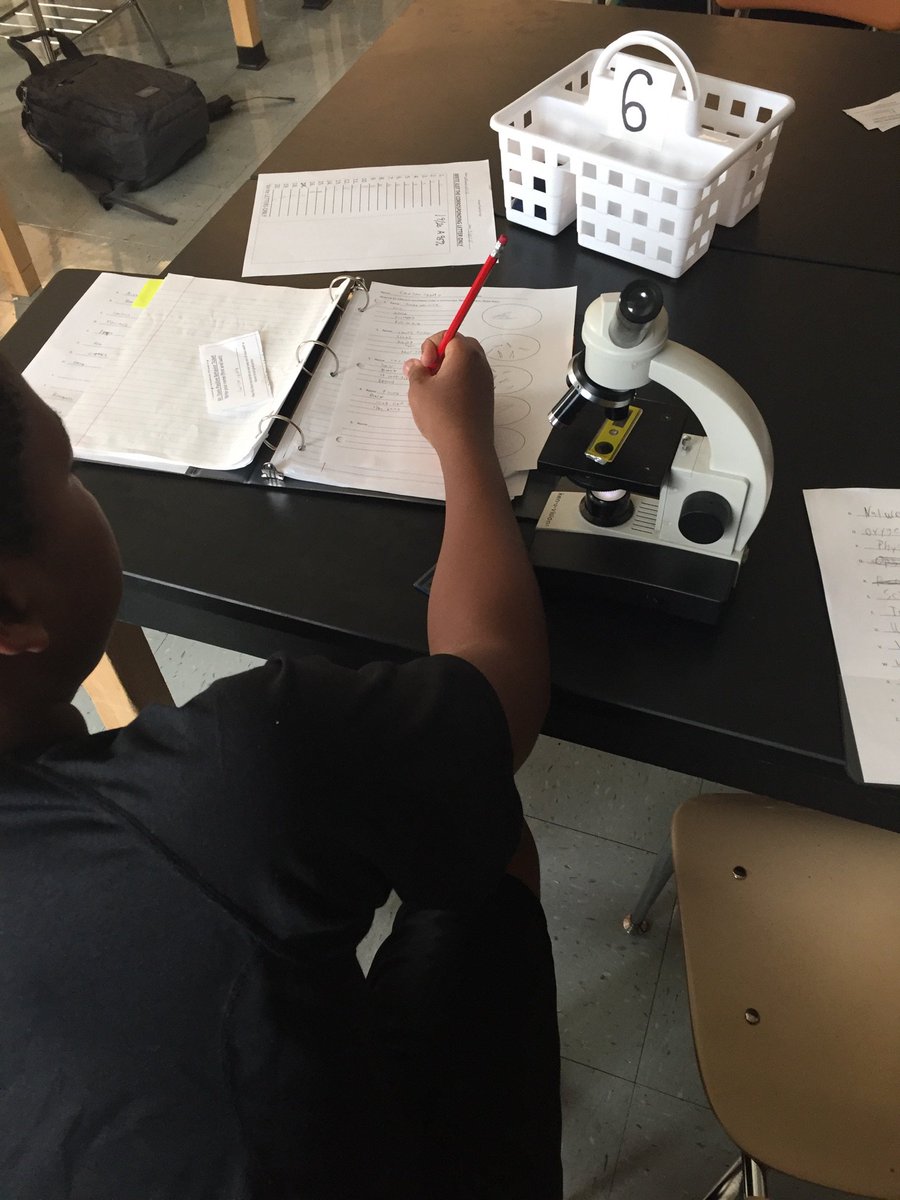 DavisPPSPCA's tweet photo. Students getting to see some amazing parts of organisms up close. Then, trying to figure out how these parts help the organism survive. They will eventually connect it all together to see the parts of a whole system. #PCAAllDay @PPSnews https://t.co/HvA6LxScyy
