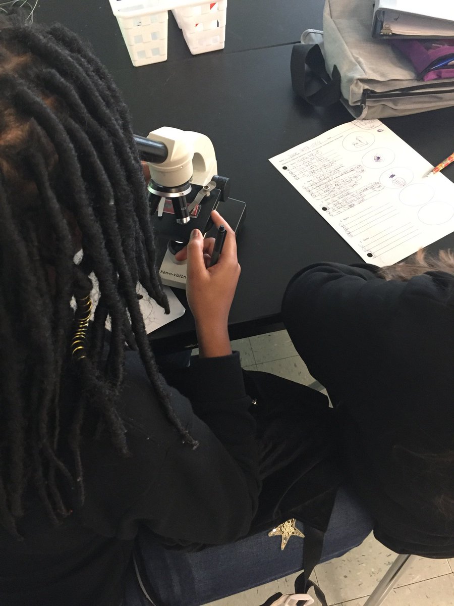 DavisPPSPCA's tweet photo. Students getting to see some amazing parts of organisms up close. Then, trying to figure out how these parts help the organism survive. They will eventually connect it all together to see the parts of a whole system. #PCAAllDay @PPSnews https://t.co/HvA6LxScyy