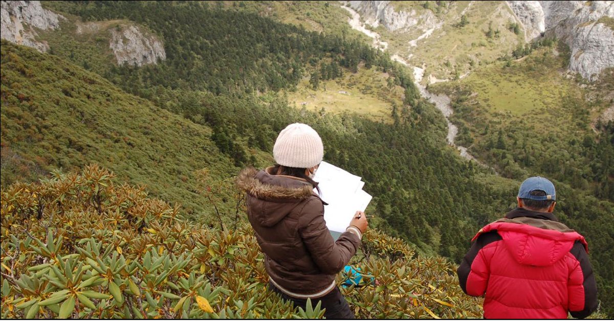 Botanical_'s tweet photo. As we head into the @ClimateStrike, here's a recent #AJB article on rapid changes in eastern Himalayan alpine flora with #climatechange https://t.co/s99RQwep4x #botany @wileyplantsci @Oreotrephes #ScienceStrike #ClimateStrike #Strike4Plants https://t.co/A8f7KCY499