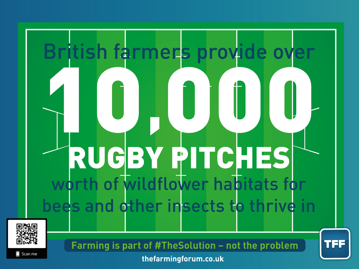 TheFarmingForum's tweet image. #TheSolution 14 - Farming is part of the solution, please re-post and share to show your support #RWC2019 #rugbyworldcup2019 #wildlife #bees #wildflowers #ClimateAction #organicmatter 🏴󠁧󠁢󠁥󠁮󠁧󠁿🏴󠁧󠁢󠁷󠁬󠁳󠁿🏴󠁧󠁢󠁳󠁣󠁴󠁿