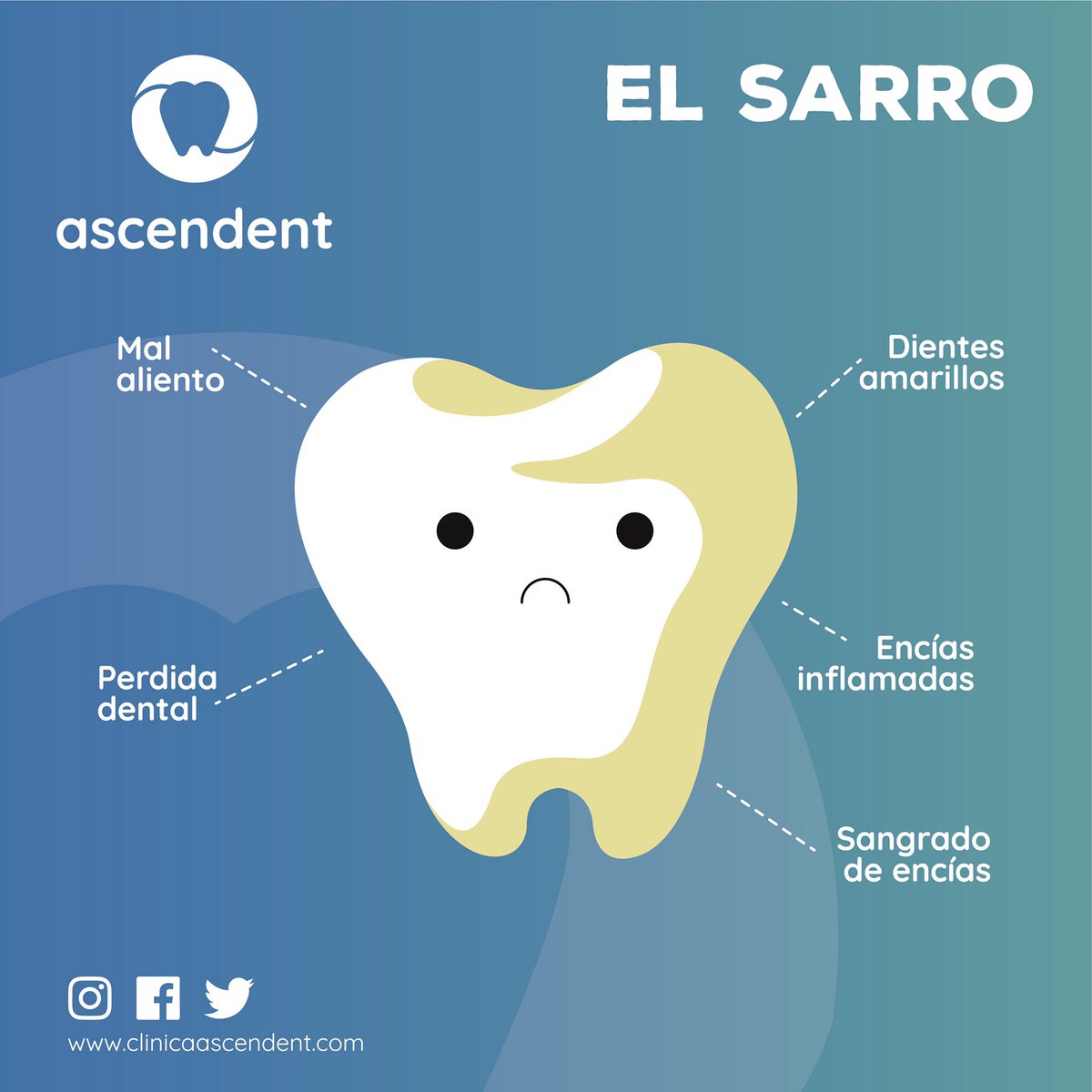 ascendent_aam's tweet photo. Evita sufrir alguno de estos padecimientos y cepilla tus dientes con frecuencia.  Acude con tu dentista para una limpieza y sigue presumiendo tu sonrisa
.
.
.
.
#Ascendent #CompartiendoSonrisas #dentista #dentist #odontologia #brushtooth #cepillodental #gym #teeth #tooth #smile https://t.co/Bd68FuuCVz