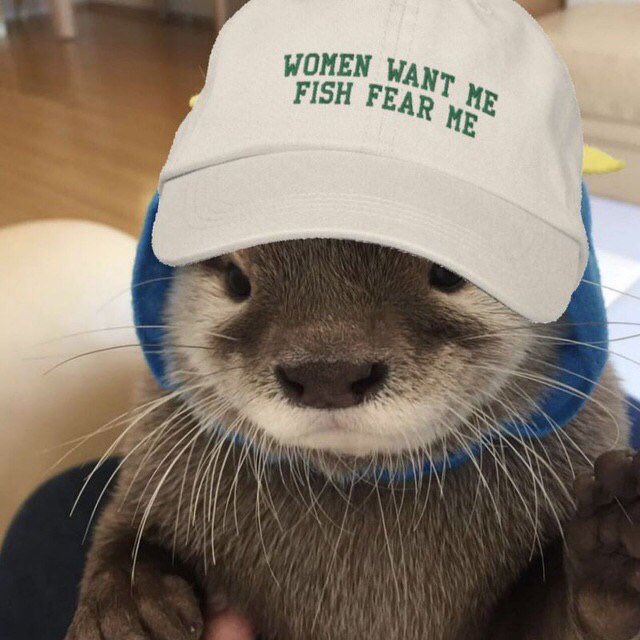 cake_hoarder's tweet photo. gm can I get a vibe check? https://t.co/MDiQTZga0r