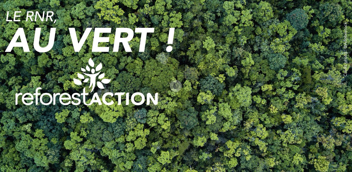 RouenNdieRugby's tweet image. Depuis 2018, le RNR est engagé en faveur du climat avec son partenaire @reforestaction. 🌳

Nous sommes le 1er club de rugby à compenser les émissions de CO2 des déplacements de l’ensemble de ses équipes et de ses supporters.

▶️bit.ly/2kSsT5K

#EnsemblePlusVitePlusLoin