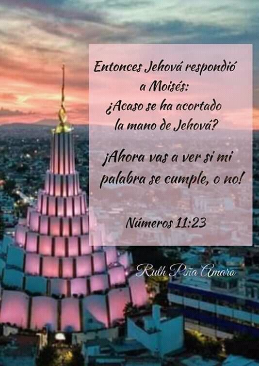 jjcarreongomez's tweet photo. Apostol #NaasonJoaquinGarcia 
#Honorable
#Inocente https://t.co/JV1QE7C7g4