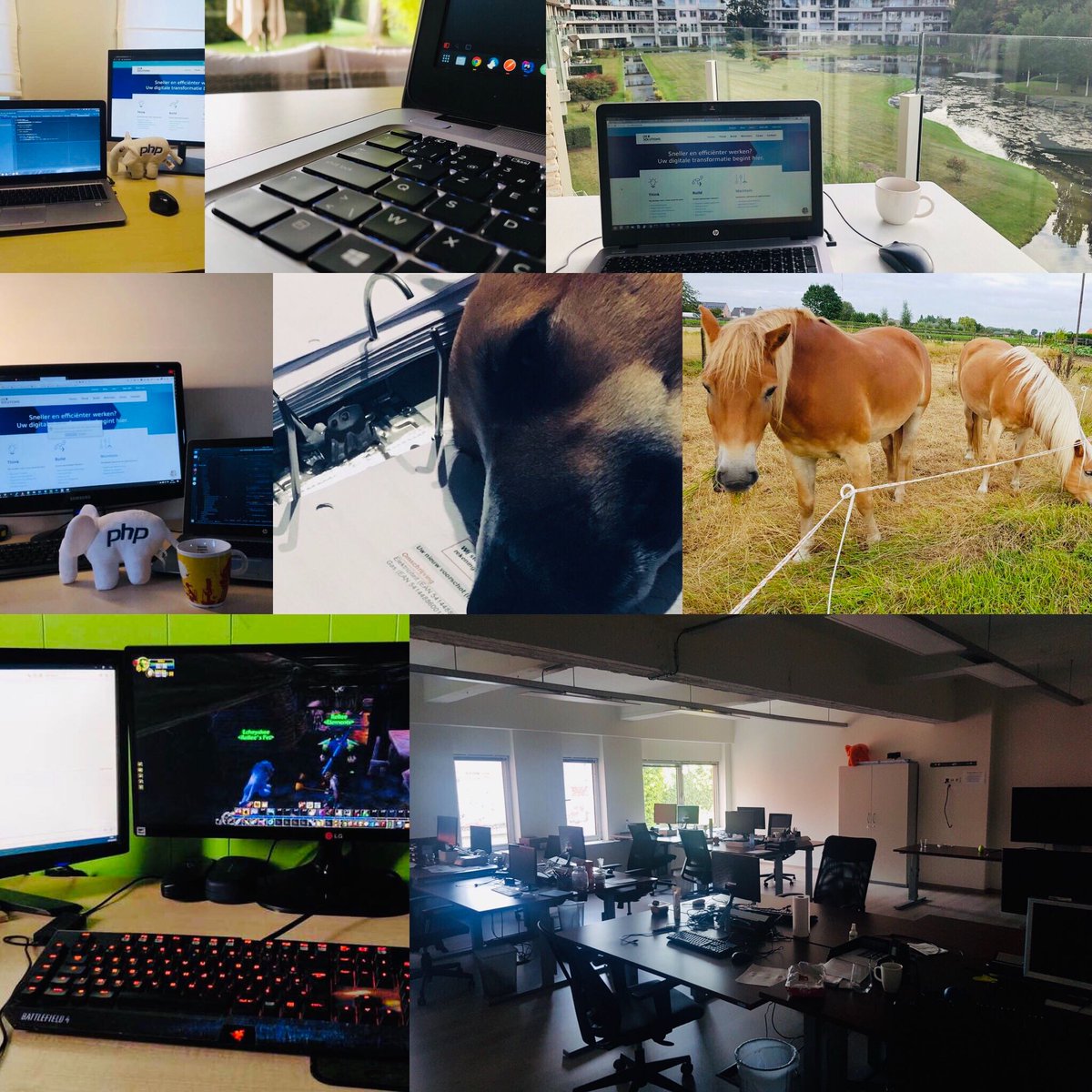 DXsolutionsBVBA's tweet photo. Samen met #nationaletelewerkdag maken wij een statement: ons voltallig team werkt thuis vandaag! Telewerk is al lang ingeburgerd bij ons en we raden het elke onderneming aan. Vertrouwen geven is vertrouwen krijgen in onze opinie, niet waar? #worklifebalance #weekvdmobiliteit https://t.co/xJwR2cc7Bp
