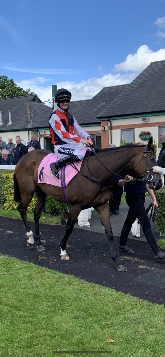 ICMRacing's tweet photo. SEARANGER runs today in the 5.15 7f race at Southwell. We hope with this new surface and a visor applied it will bring back some of his old form. Clifford Lee is back in the saddle! Good luck and safe trip to all owners. https://t.co/IyKWy9KMT3