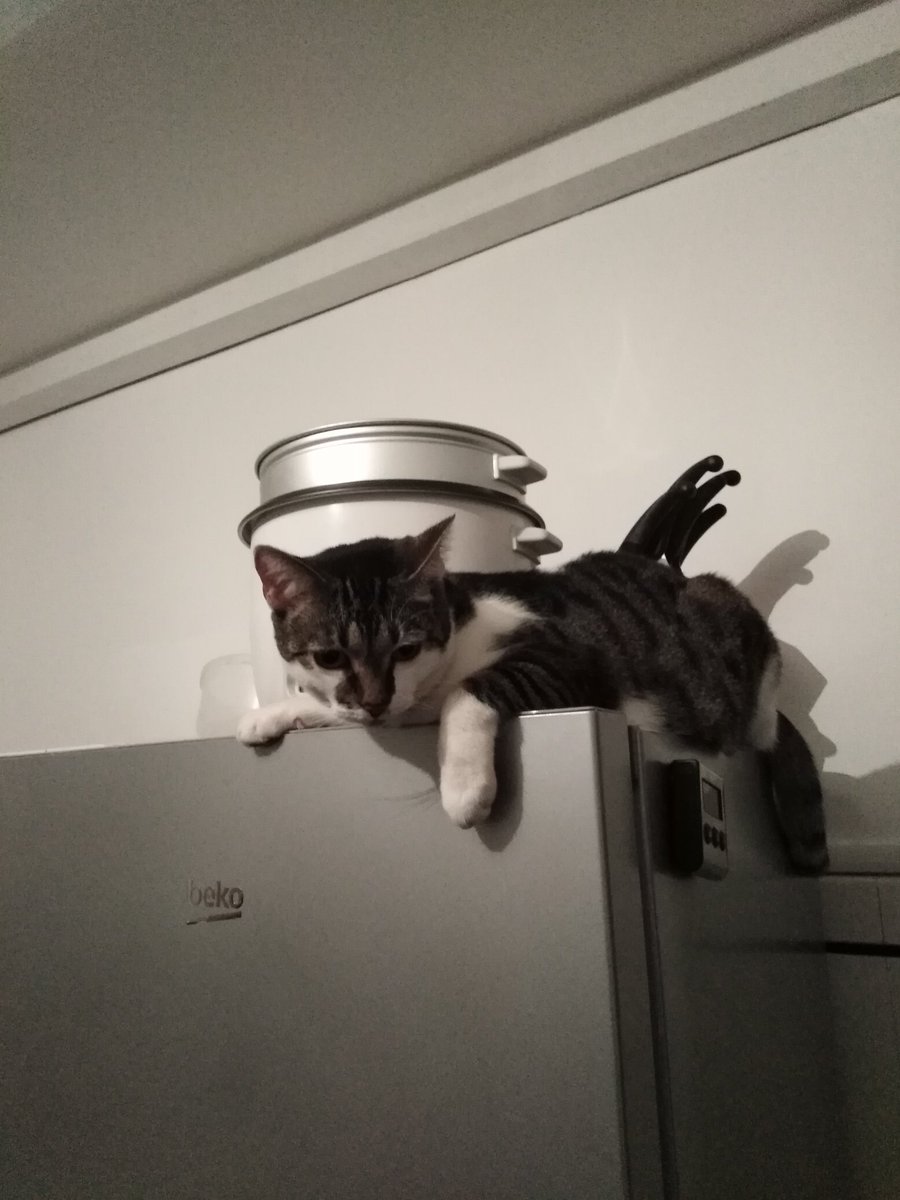 Blackeevee Commi Open On Twitter J Aime Trop Mon Chat