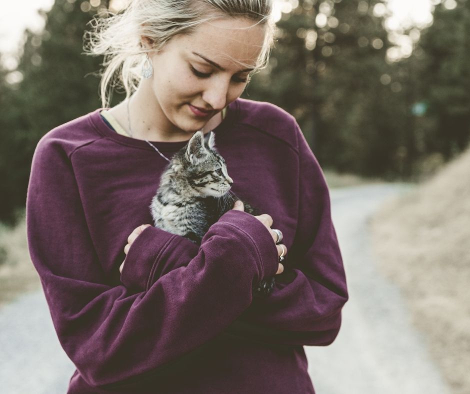 Value Vet tweet media