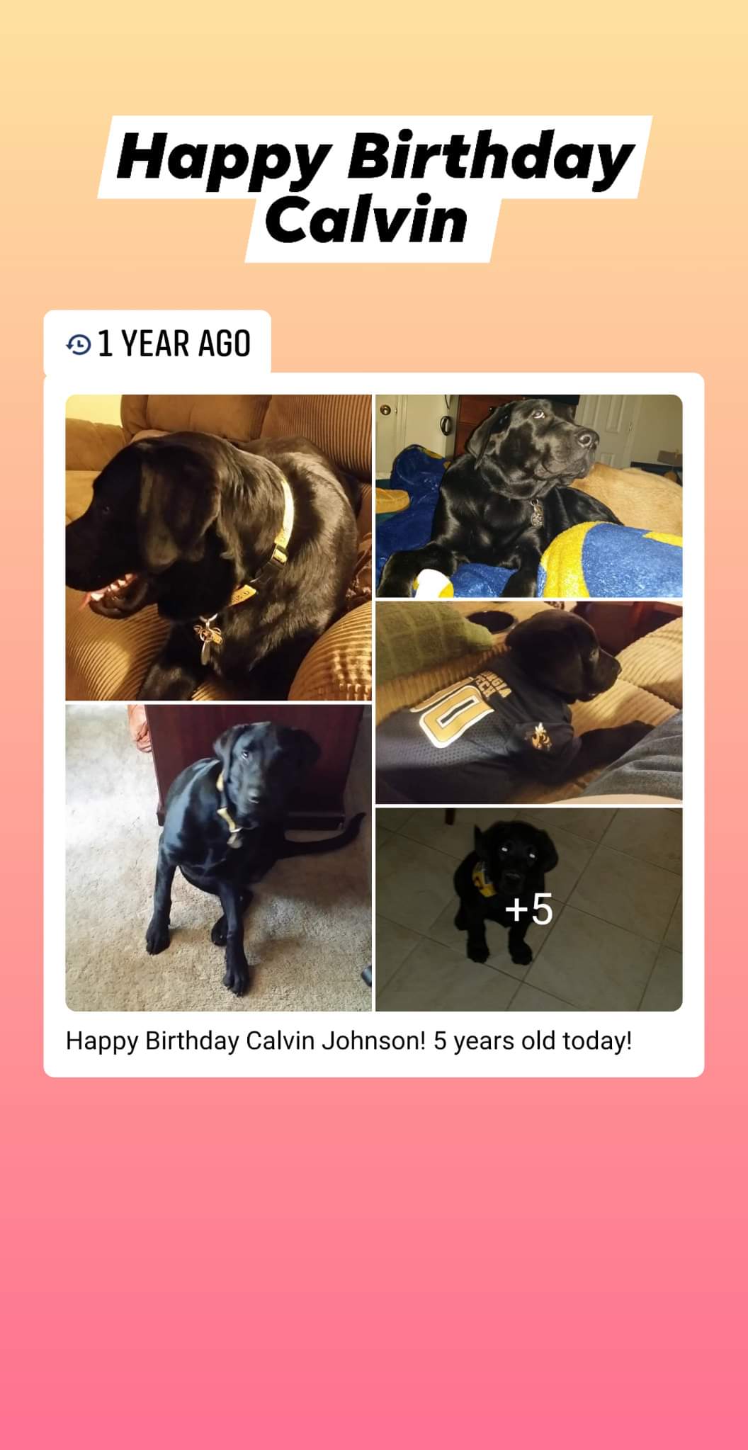 Happy Birthday Calvin Johnson! 6 years old today 