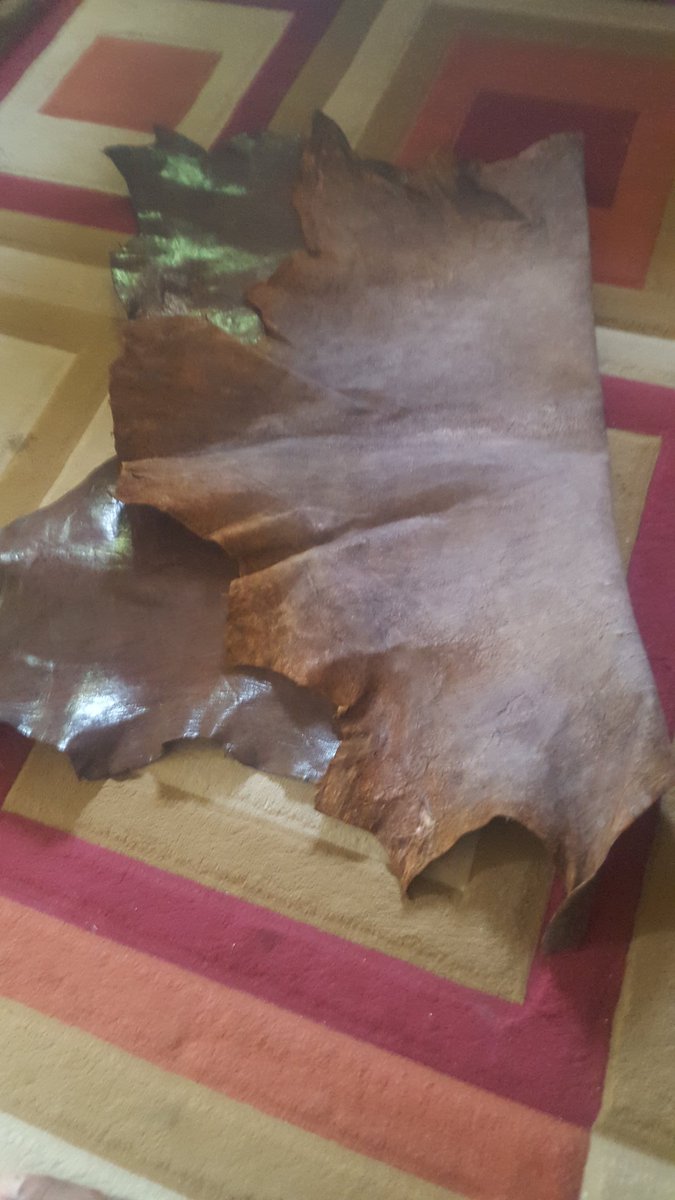 DamiDynamite's tweet photo. @dsgaert @fabrics_olaola I live in Lagos and I sell processed animal skin that could be used for bags, shoes, purses and belts. They come in different colours. I need shoe and bag makers to patronize me.  I sell at wholesales price too. #Marketsquare101 https://t.co/sloqCUiMwc