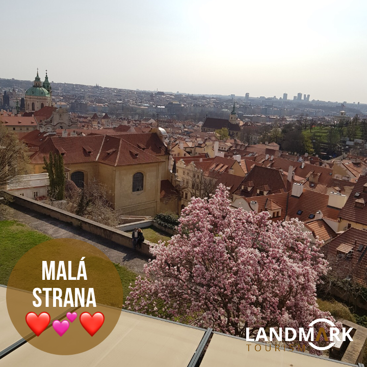 LandmarkTourism's tweet photo. Have you seen the lovely Malá Strana?
Book now: https://t.co/Oto9HCLzeV

#praguetour #praguelandmarktour #tour #travel #licensedguides #praguelocalguides via https://t.co/xQz2pISpHp https://t.co/DUtZSjPSv4