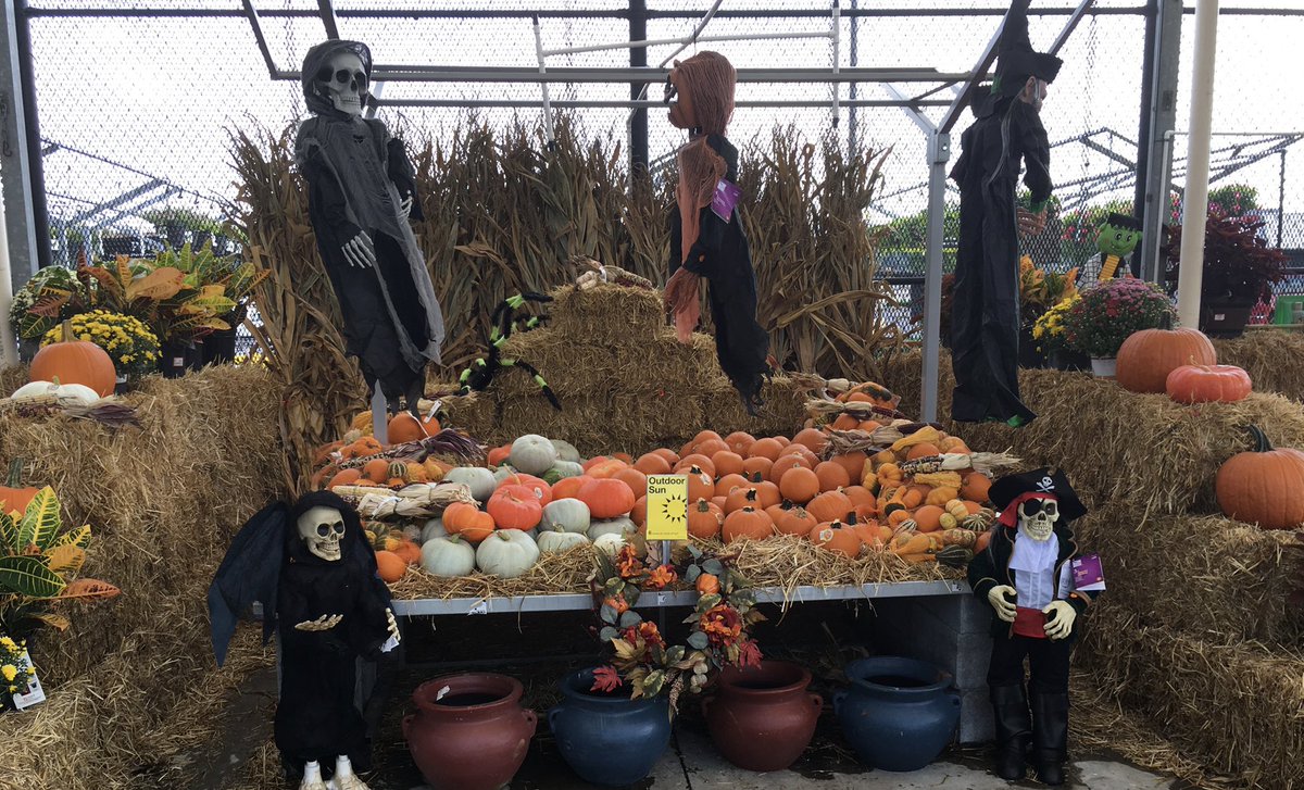 AltaDebarros's tweet photo. It’s looking like Fall in Rome. The 🎃 is ready!@Brad_Peebles @ChrisBergHD https://t.co/3df5f3Feqt